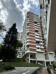 Pandan Valley (D21), Condominium #508010301